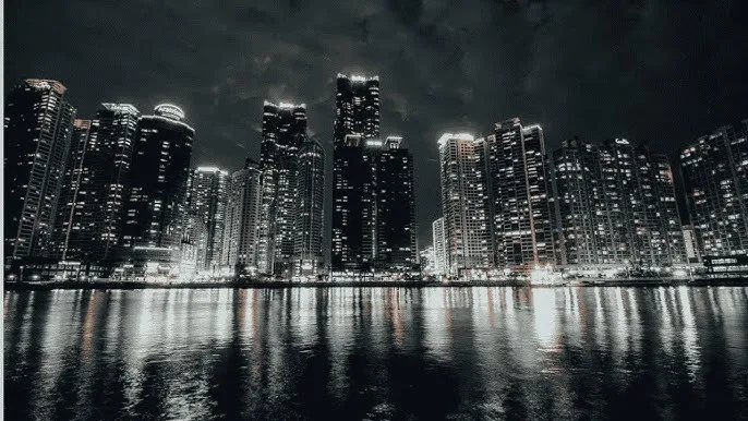 麦乐迪 - 城市之光：霓虹背后的人间烟火
